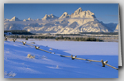 Fence High in the Tetons Box Set of 12 Cards with 