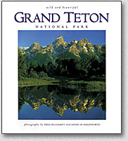 Wild & Beautiful Grand Teton National Park